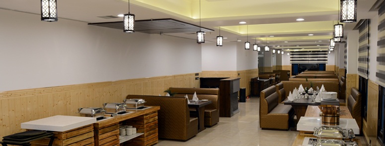 Hotel Dhroov Shimla
